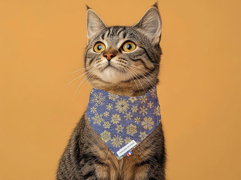 Bandana pour chat Fuji
