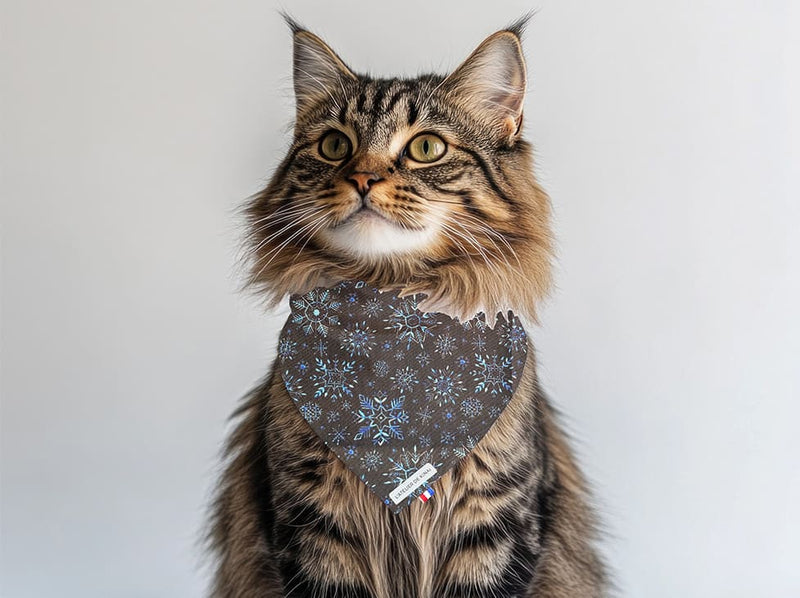 Bandana pour chat Nuit Polaire