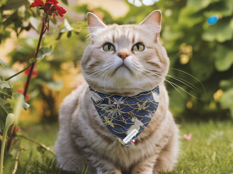 Bandana pour chat grue