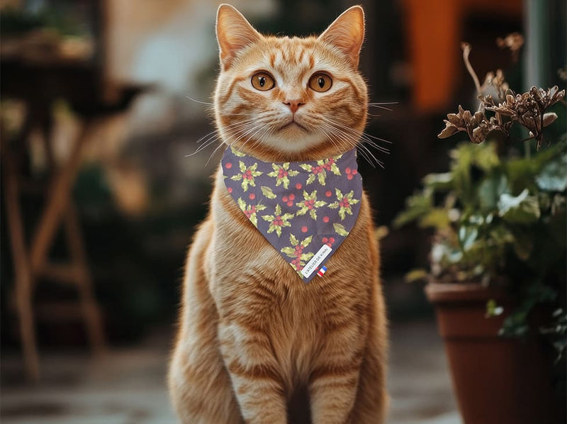 Bandana pour chat Houx