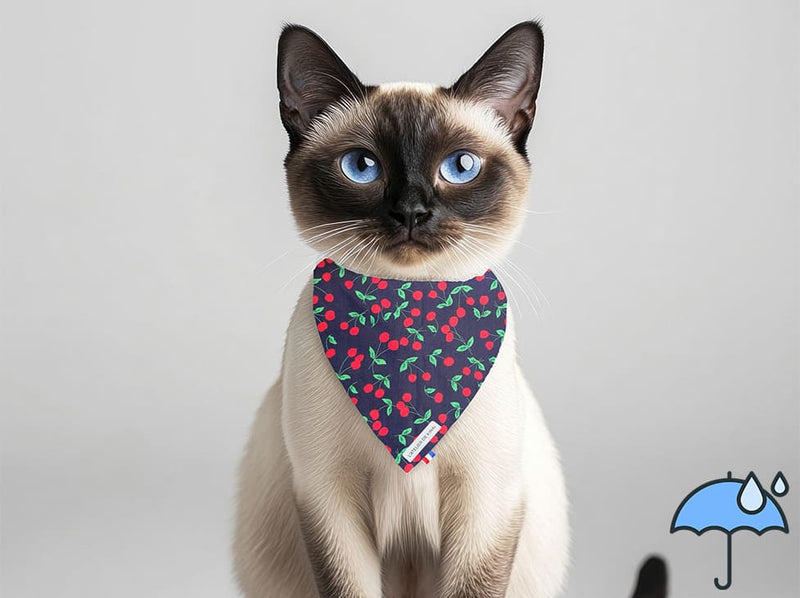 Bandana personnalisé pour chat imperméable Cerise