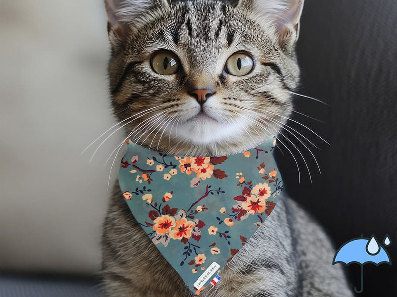 Bandana personnalisé pour chat imperméable Éclat Floral