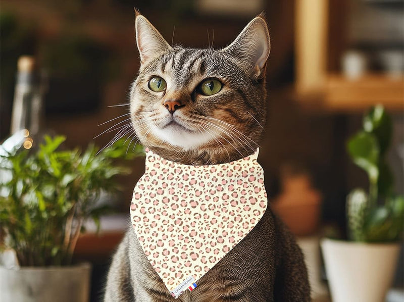 Bandana personnalisé pour chat Léopard