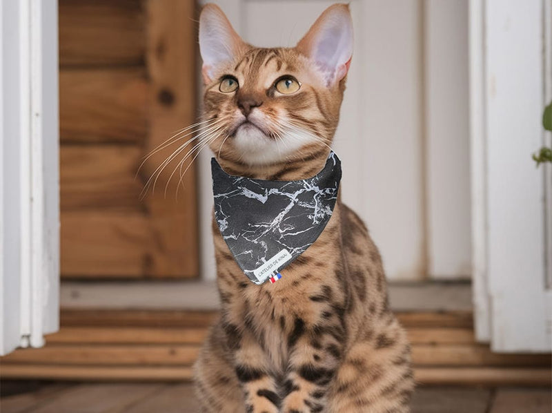 Bandana pour chat marbre