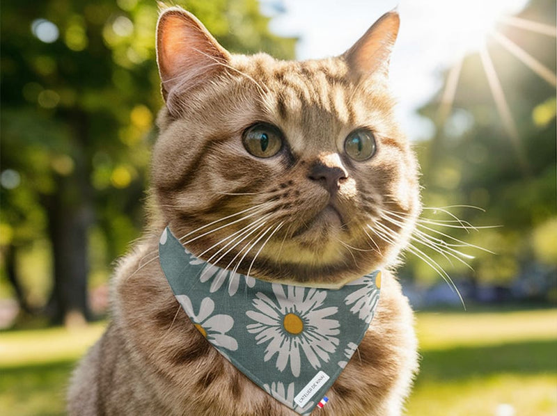 Bandana pour chat marguerite