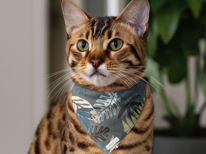 Bandana pour chat nature
