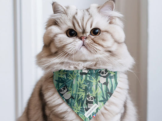 Bandana pour chat panda
