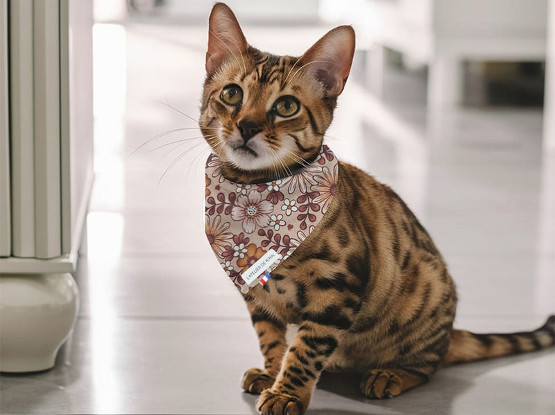 Bandana pour chat pâquerette