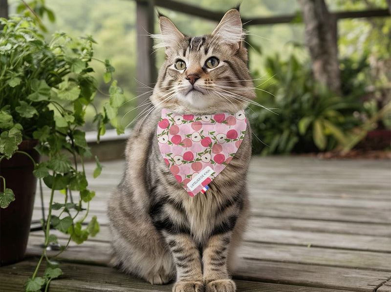 Bandana pour chat pêche