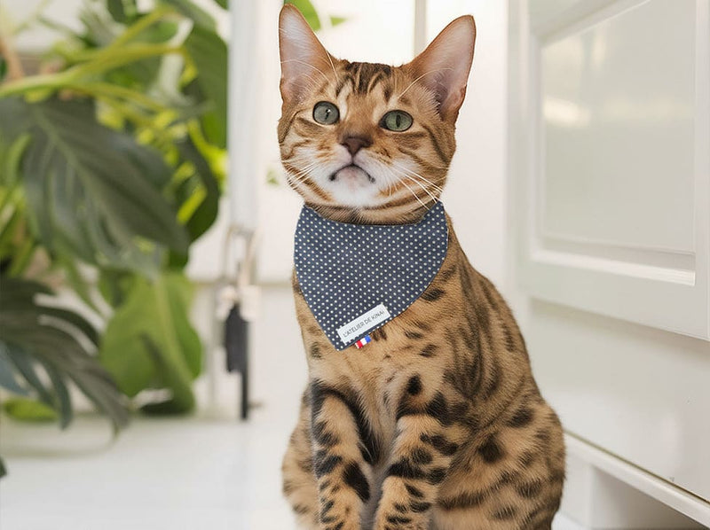 Bandana pour chat pois