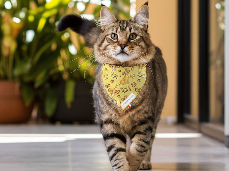 Bandana pour chat Roi Lion