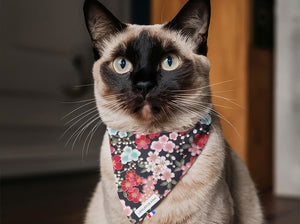 Bandana personnalisé pour chat sakura