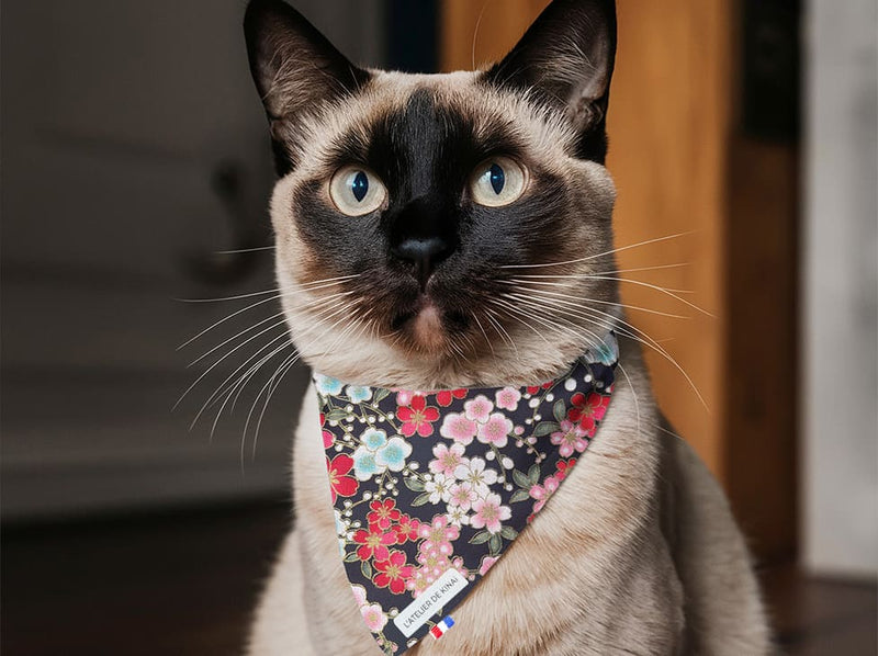Bandana pour chat sakura