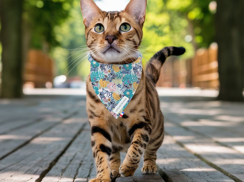 Bandana pour chat Stitch