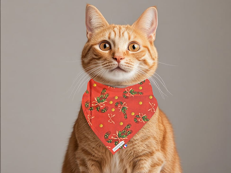 Bandana pour chat Douceur de Canne