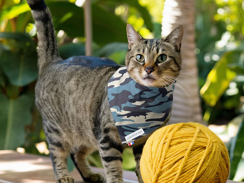 Bandana pour chat treillis