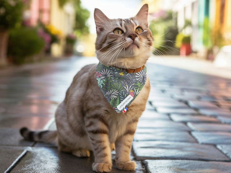 Bandana pour chat tropical