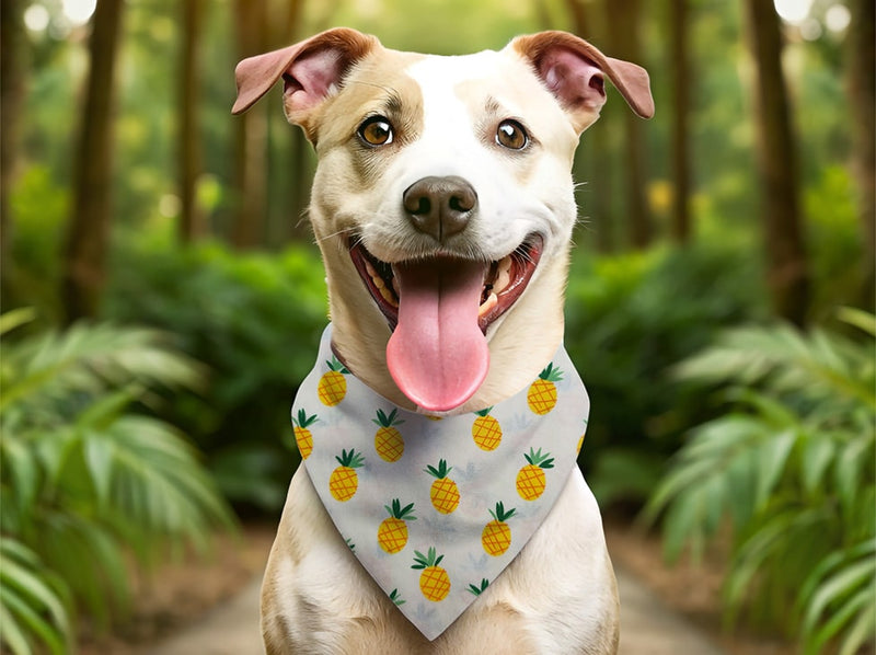 Bandana personnalisé pour chien ananas