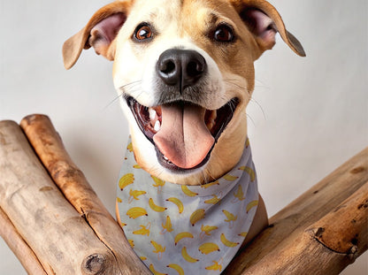 Bandana personnalisé pour chien banane