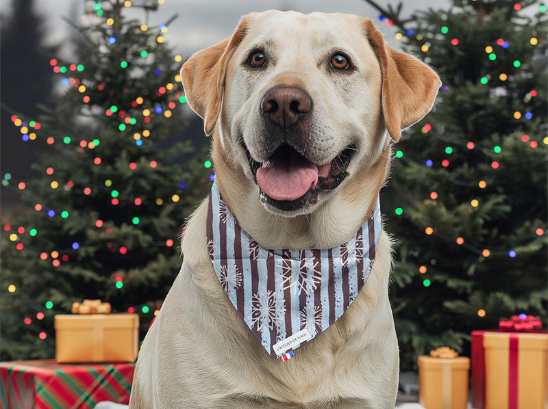 Bandana pour chien Flocon Strié