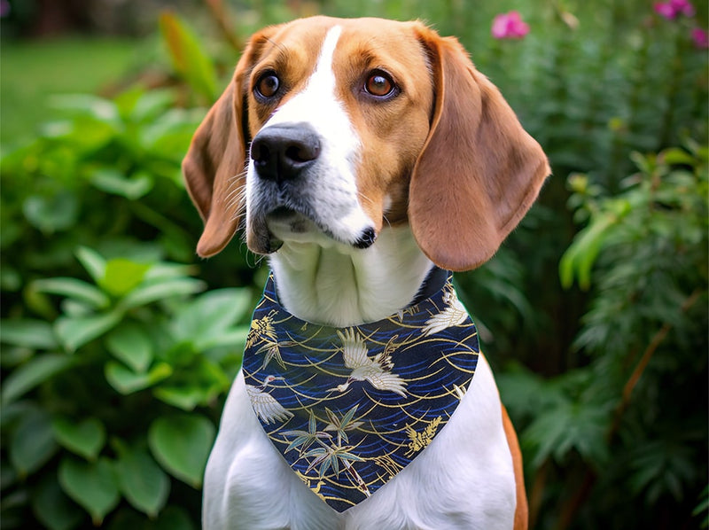 Bandana personnalisé pour chien grue