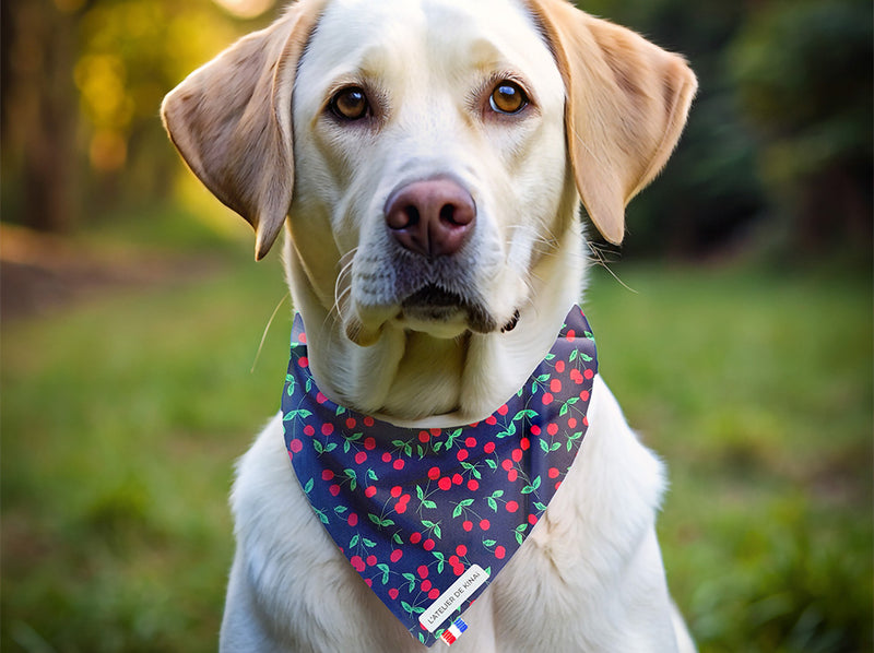 Bandana pour chien imperméable Cerise