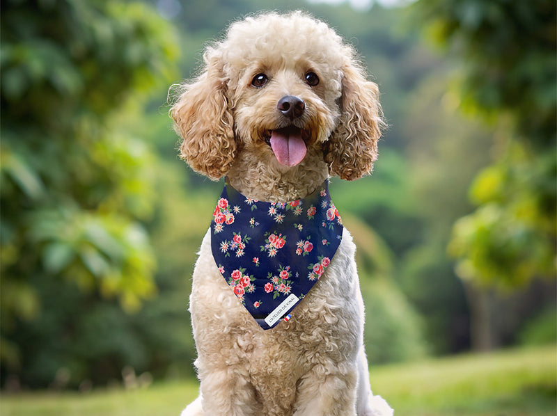 Bandana pour chien imperméable Éclat Floral
