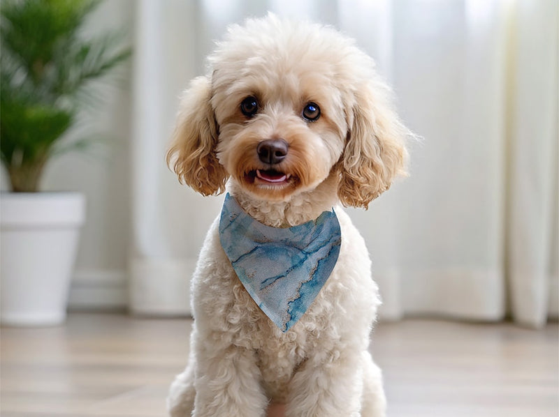 Bandana personnalisé pour chien marbre