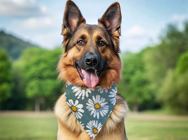 Bandana personnalisé pour chien marguerite