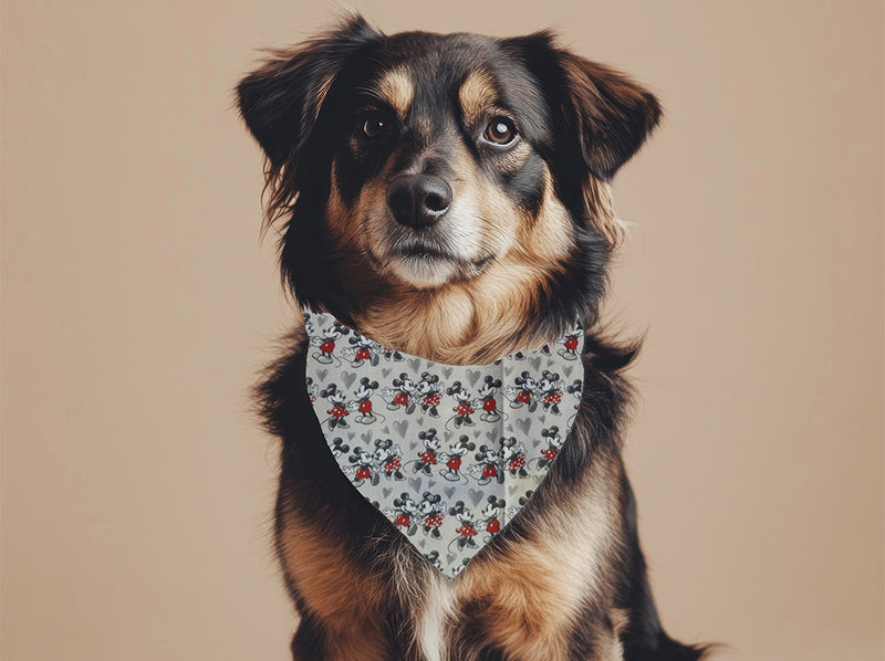 Bandana pour chien Mickey