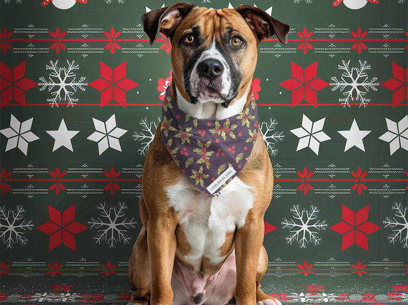 Bandana pour chien Houx