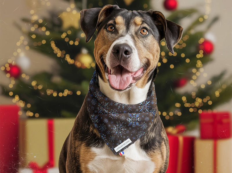 Bandana pour chien Nuit Polaire