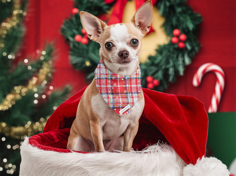 Bandana pour chien Tartan des Neiges