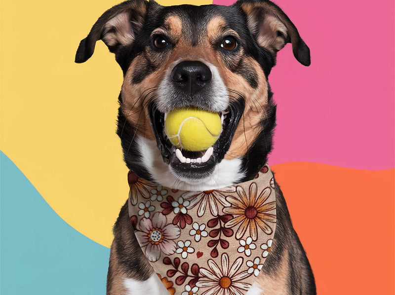 Bandana personnalisé pour chien pâquerette