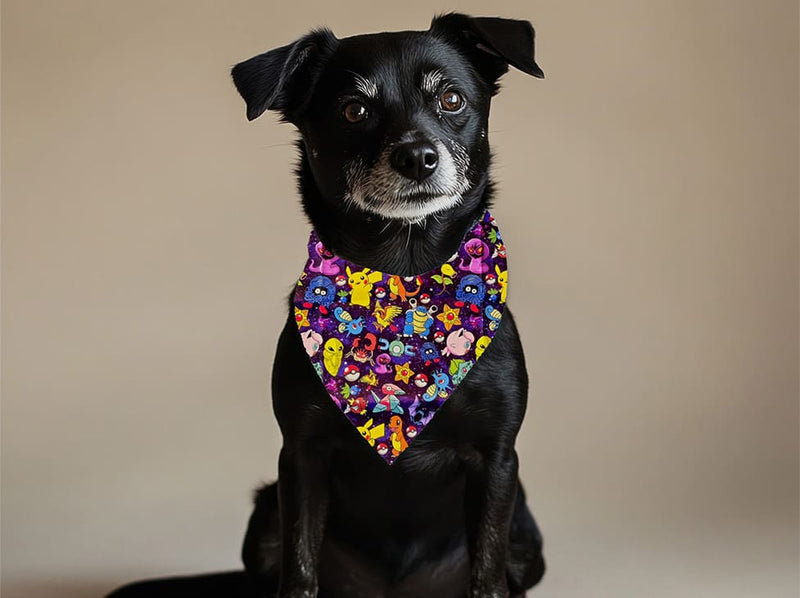 Bandana pour chien Pokemon