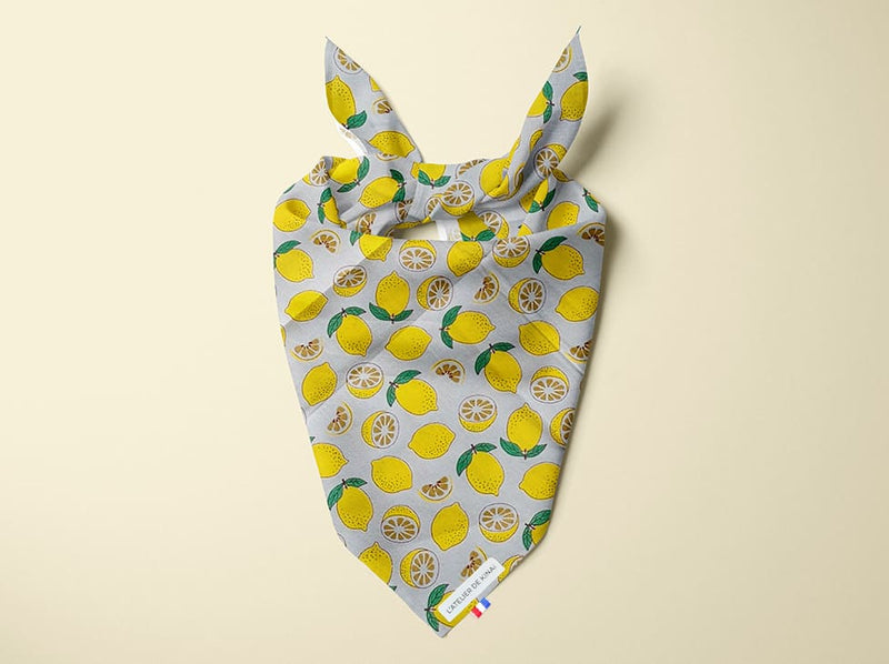 Bandana personnalisé pour chien citron