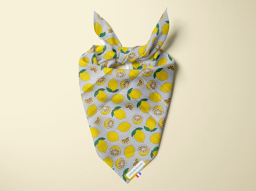 Bandana pour chien Citron