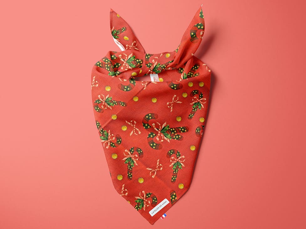 Bandana pour chien Douceur de Canne