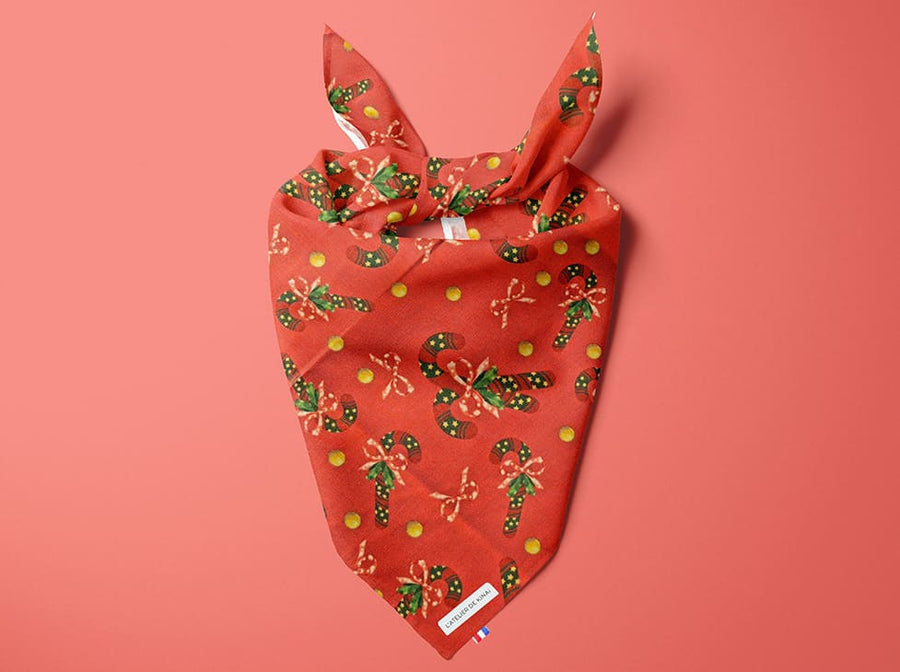 Bandana pour chien Douceur de Canne