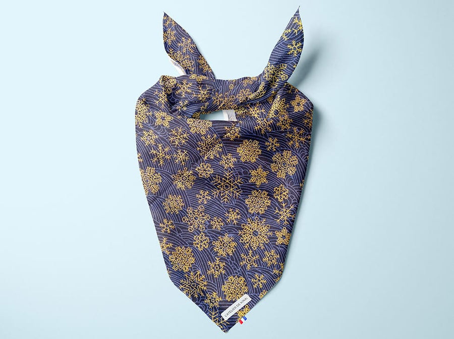 Bandana pour chien Fuji