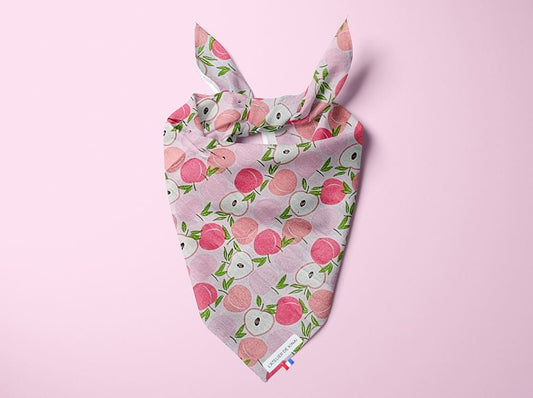 Bandana pour chien pêche