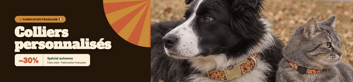 Laisses personnalisées pour chiens – Faits main en France