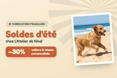 Laisses personnalisées pour chiens – Faits main en France