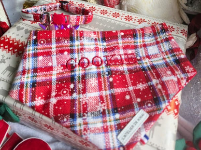 La Box de Noël idéale pour votre chat