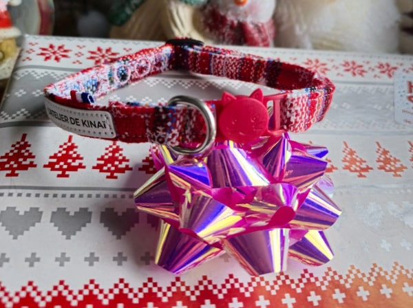 La Box de Noël idéale pour votre chat