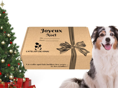 La Box de Noël idéale pour votre chien