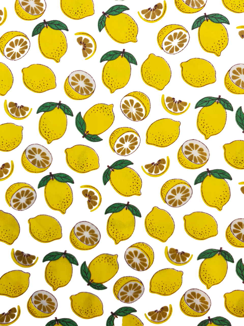 Collier personnalisé pour chien citron