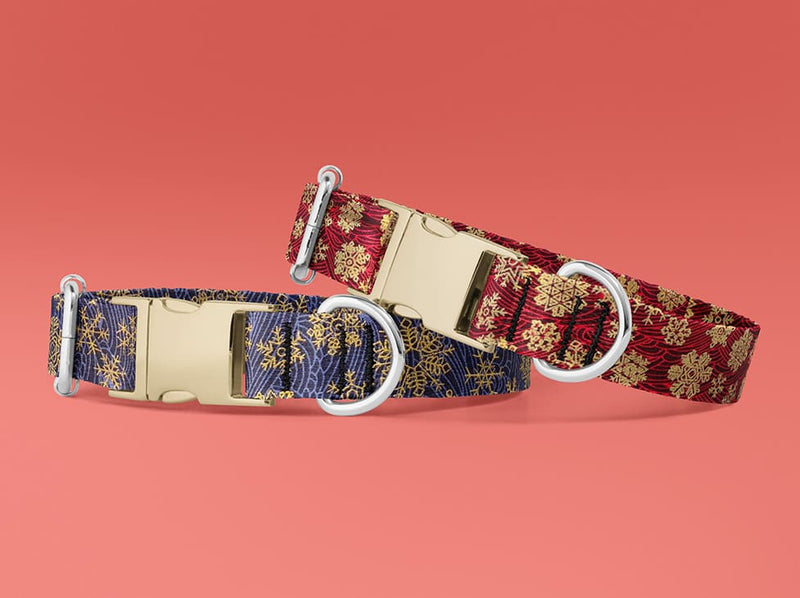 Collier pour chien Fuji