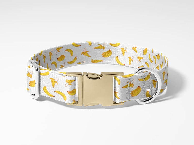 Collier personnalisé pour chien banane