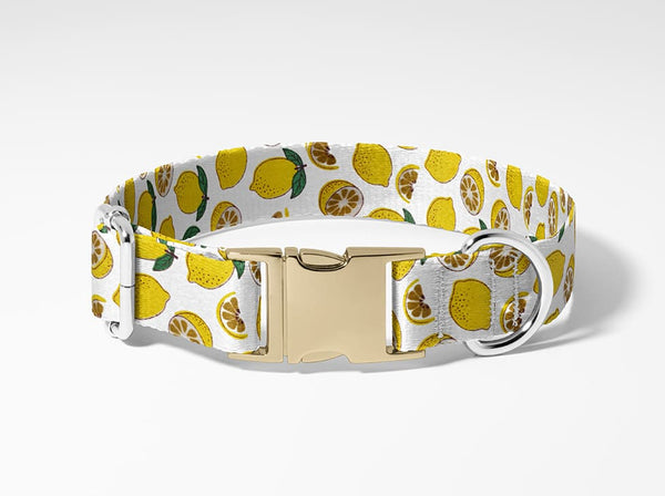 Collier personnalisé pour chien citron